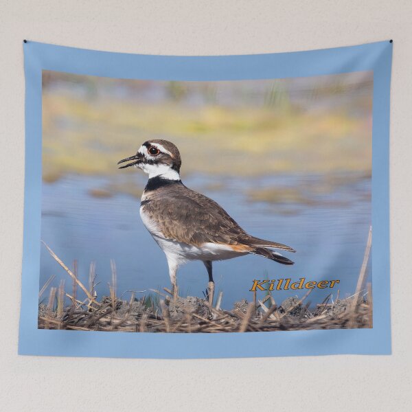 Item preview, Killdeer At Water's Edge designed and sold by CarolM.