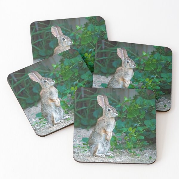 Item preview, Cottontail Rabbit Standing on Hind Legs designed and sold by CarolM.