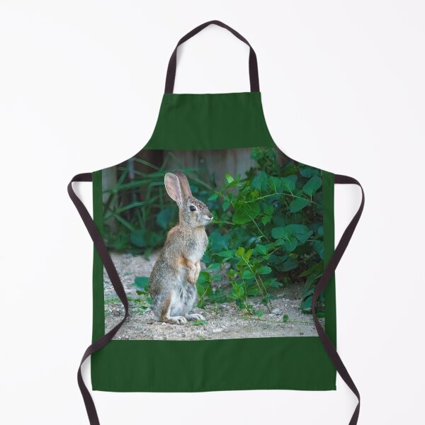 Item preview, Cottontail Rabbit Standing on Hind Legs designed and sold by CarolM.