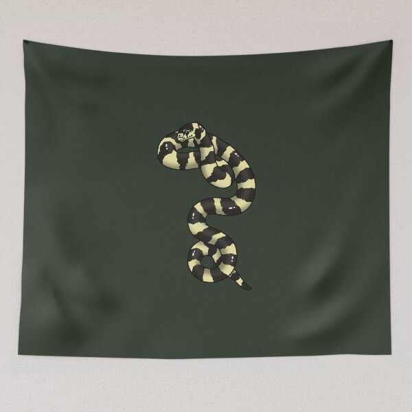 Item preview, California Kingsnake Coastal Banded II - Black and Yellow designed and sold by anacecilia.