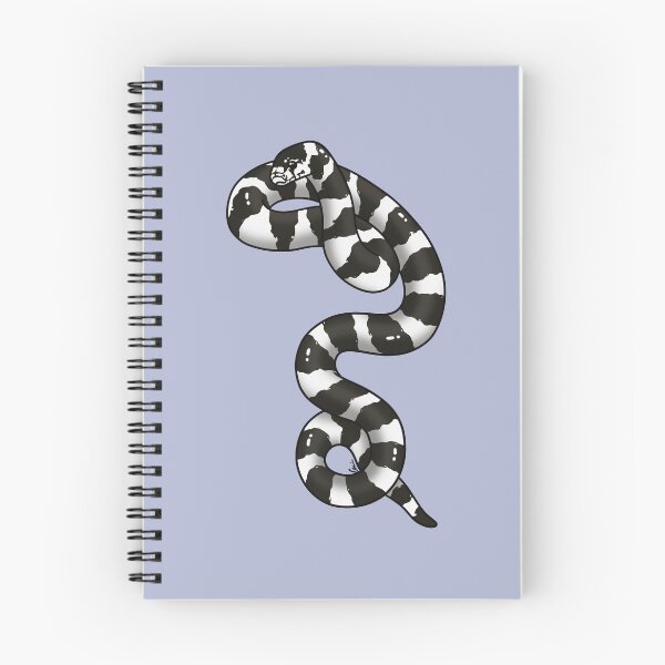 Item preview, California Kingsnake Desert Banded - Black and White designed and sold by anacecilia.