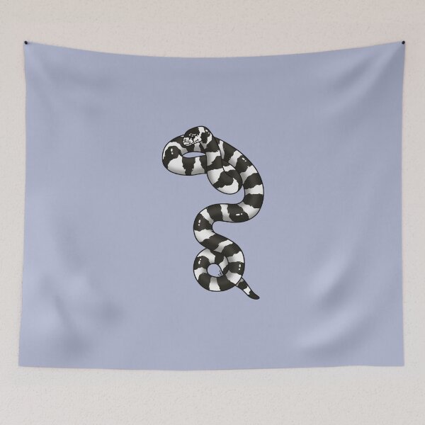 Item preview, California Kingsnake Desert Banded - Black and White designed and sold by anacecilia.
