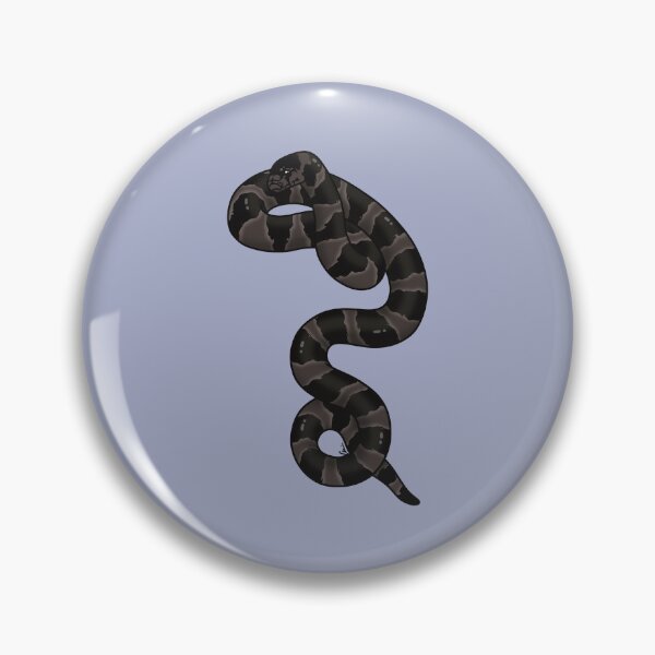 Item preview, California Kingsnake Hypermelanistic - Black Coloration designed and sold by anacecilia.