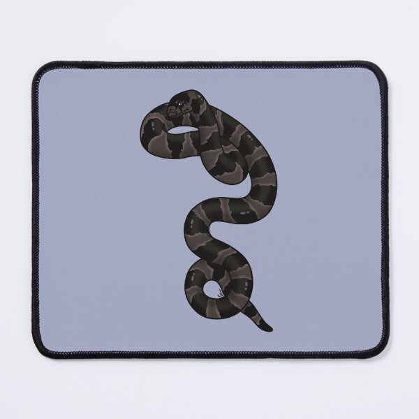 Item preview, California Kingsnake Hypermelanistic - Black Coloration designed and sold by anacecilia.