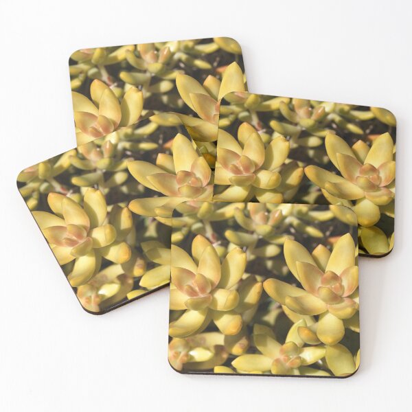 Item preview, Greens Of A Succulent designed and sold by Joy Watson - Natural Light Photography .