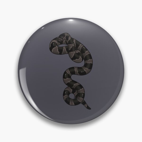 Item preview, California Kingsnake Hypermelanistic II - Black Coloration designed and sold by anacecilia.
