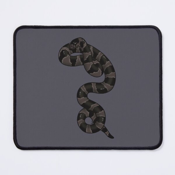 Item preview, California Kingsnake Hypermelanistic II - Black Coloration designed and sold by anacecilia.