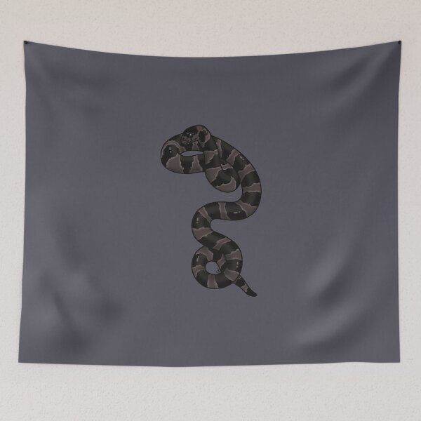 Item preview, California Kingsnake Hypermelanistic II - Black Coloration designed and sold by anacecilia.