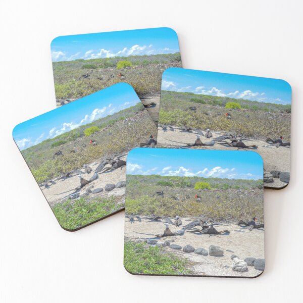 Item preview, Magnificent Frigatebirds Drying Their Wings, Galapagos Islands, Ecuador  designed and sold by Catherine Sherman.