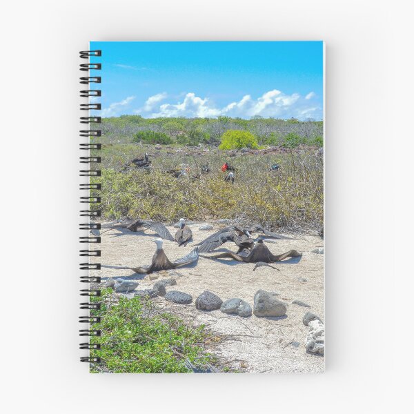 Item preview, Magnificent Frigatebirds Drying Their Wings, Galapagos Islands, Ecuador  designed and sold by Catherine Sherman.