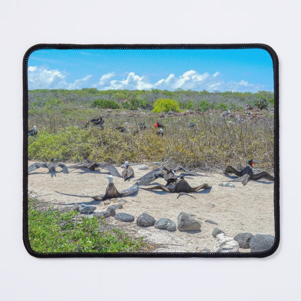 Item preview, Magnificent Frigatebirds Drying Their Wings, Galapagos Islands, Ecuador  designed and sold by Catherine Sherman.