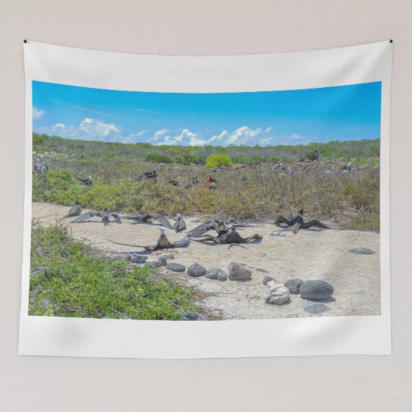 Item preview, Magnificent Frigatebirds Drying Their Wings, Galapagos Islands, Ecuador  designed and sold by Catherine Sherman.