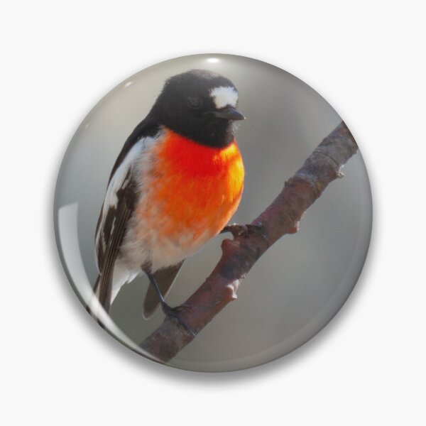 Item preview, Scarlet Robin designed and sold by EGRS Photography.