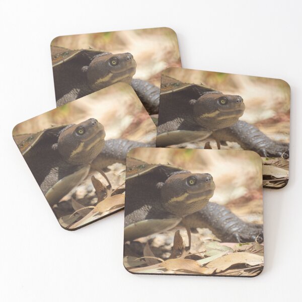 Item preview, Turtle Wandering  designed and sold by D-GaP.
