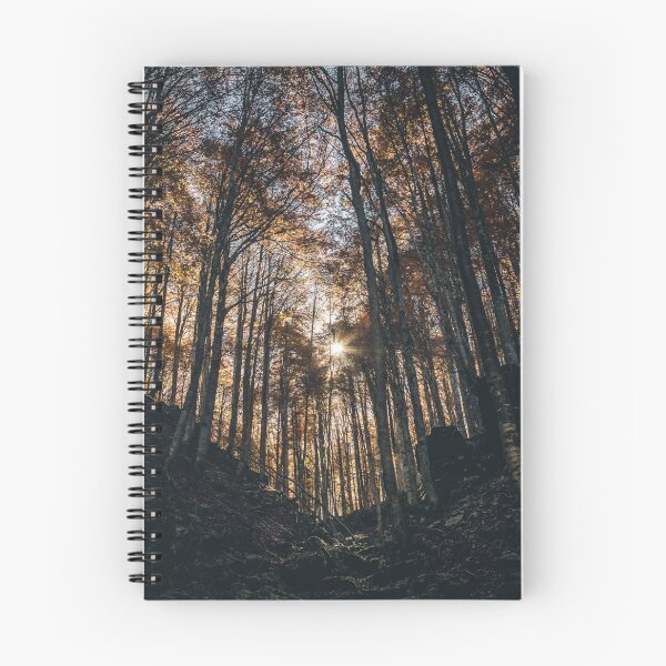 Item preview, Whispering Grouplove Pines Secret designed and sold by Jin-	 hee.
