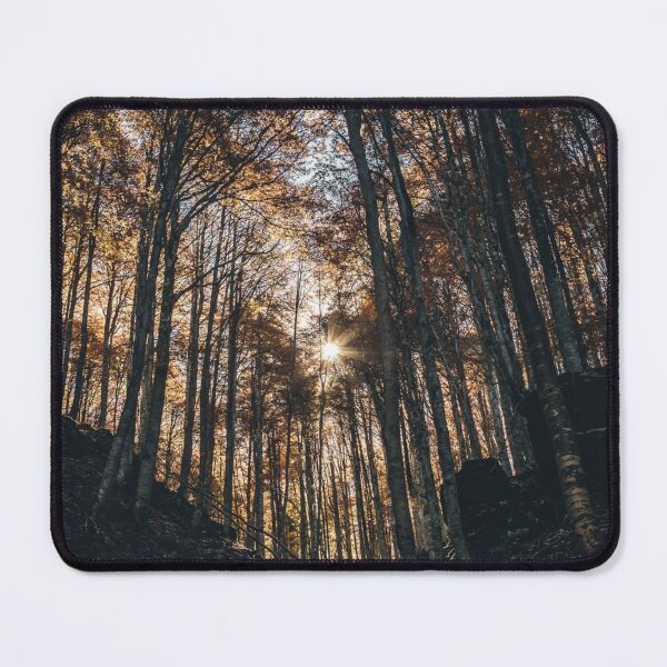 Item preview, Whispering Grouplove Pines Secret designed and sold by Jin- hee.