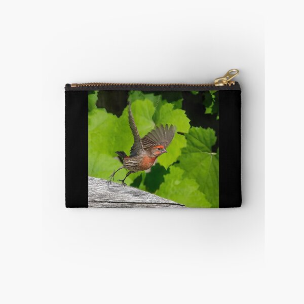 Item preview, House Finch Take Off designed and sold by CarolM.