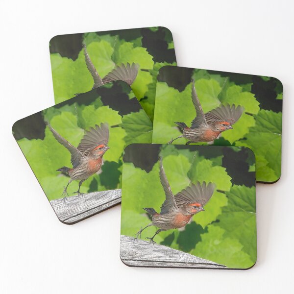 Item preview, House Finch Take Off designed and sold by CarolM.