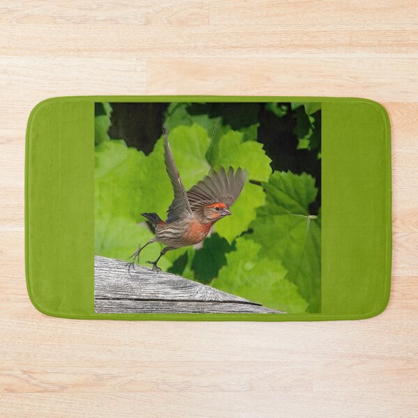Item preview, House Finch Take Off designed and sold by CarolM.
