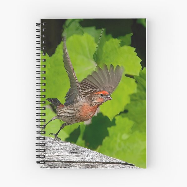 Item preview, House Finch Take Off designed and sold by CarolM.
