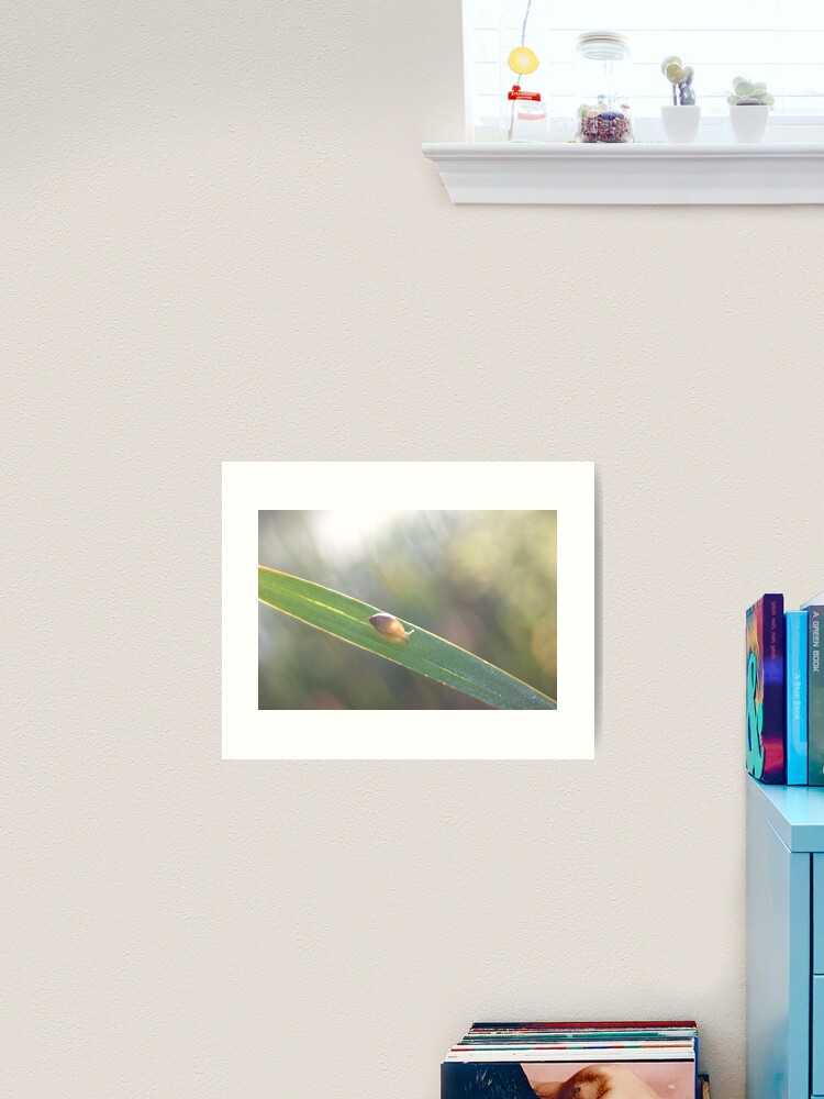 Thumbnail 2 of 3, Art Print, Brilliant little snail's Highway designed and sold by steppeland.