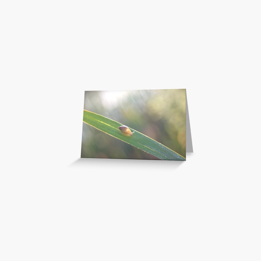 Item preview, Greeting Card designed and sold by steppeland.