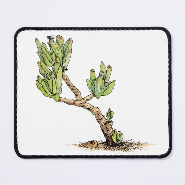 Item preview, Cactus Appreciation designed and sold by henrybennett.