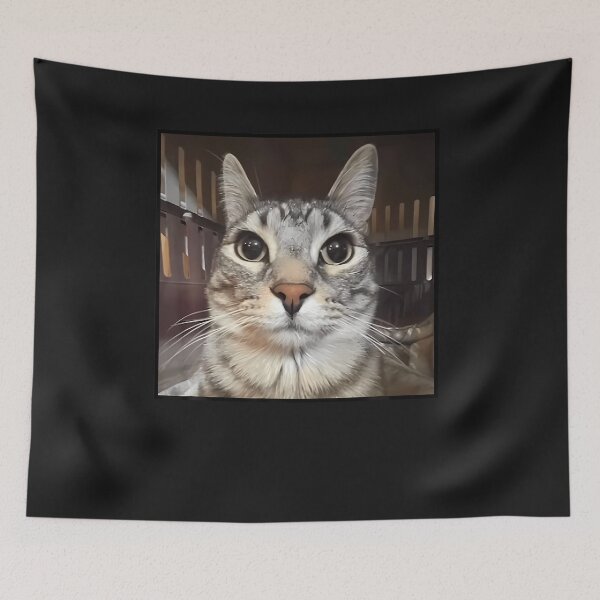 Item preview, Silly Staring Cat Meme designed and sold by WalickiTwish.