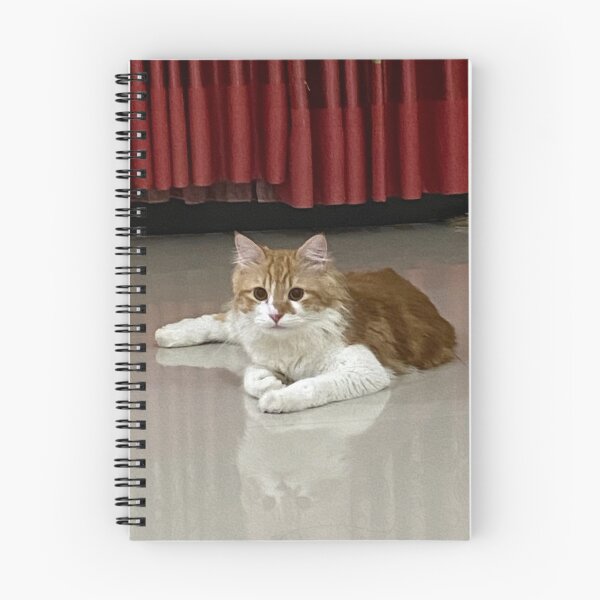 Item preview, Curiosity and Comfort: Life with Cats designed and sold by suksespasti.