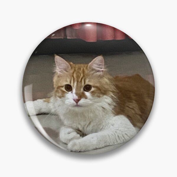 Item preview, Curiosity and Comfort: Life with Cats designed and sold by suksespasti.