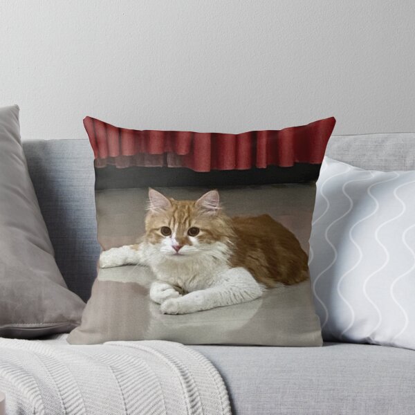 Item preview, Curiosity and Comfort: Life with Cats designed and sold by suksespasti.