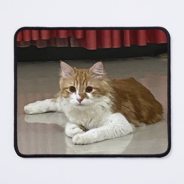 Item preview, Curiosity and Comfort: Life with Cats designed and sold by suksespasti.