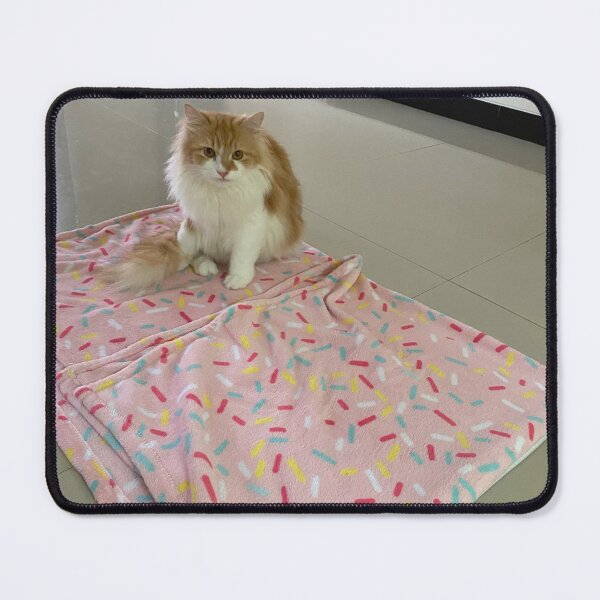 Item preview, Soft Paws, Warm Hearts: The Cat Life designed and sold by suksespasti.