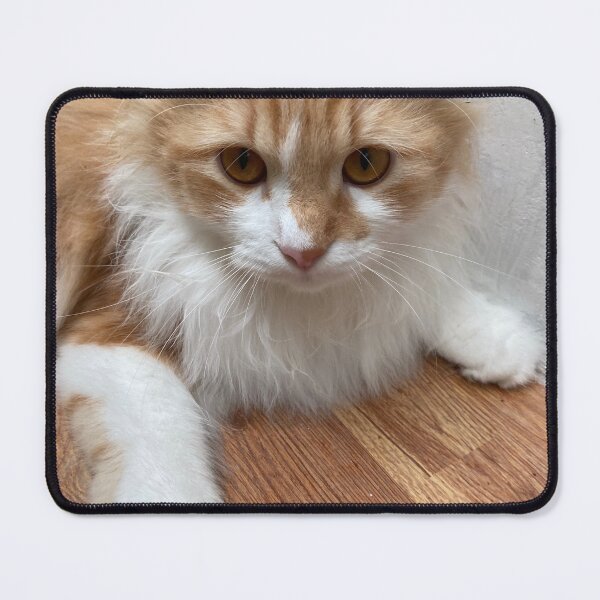 Item preview, The Magic of Cats in Our Live designed and sold by suksespasti.