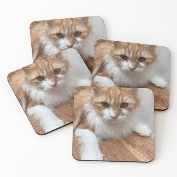 Item preview, The Magic of Cats in Our Live designed and sold by suksespasti.