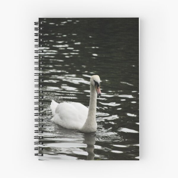 Item preview, Swan on water  designed and sold by Katies Gallery .