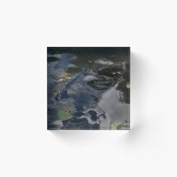 Aperçu de l'œuvre Eau trouble créée et vendue par Katies Gallery .
