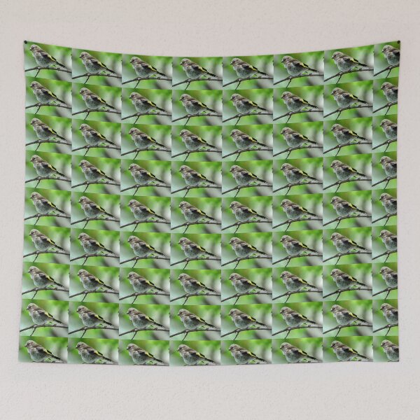 Item preview, Juvenile goldfinch designed and sold by KathleenDawson.