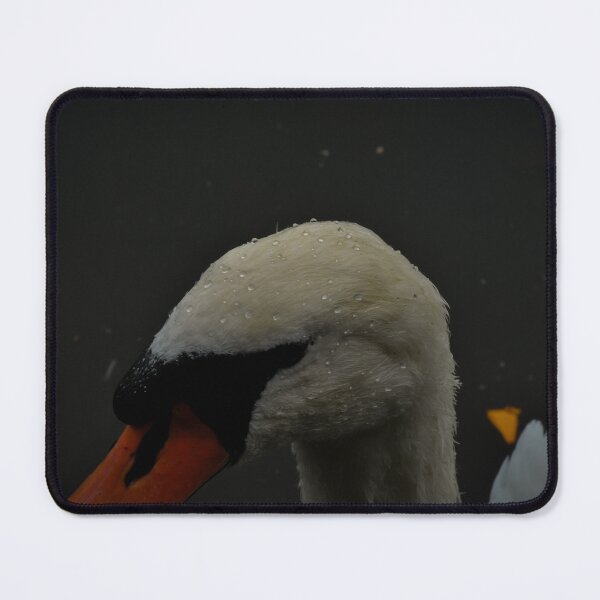 Item preview, Water drops on swans head  designed and sold by Katies Gallery .