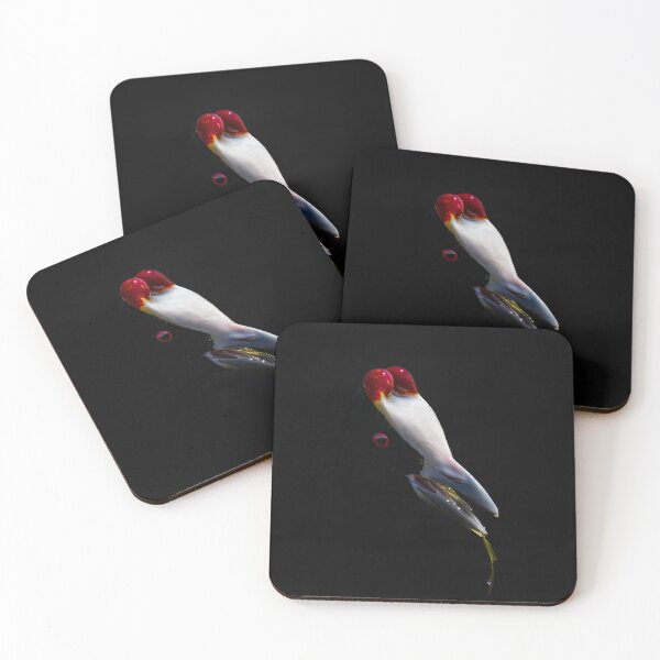 Item preview, Red Knobbed Coot designed and sold by Ralph Goldsmith.