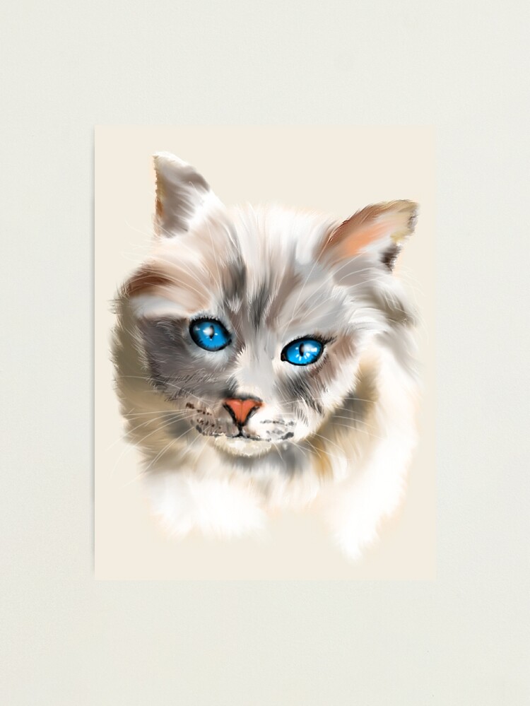 Cat PFP | Photographic Print