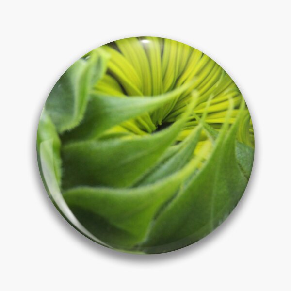 Item preview, Sunflower Bud Almost open :)  designed and sold by DianeBP.