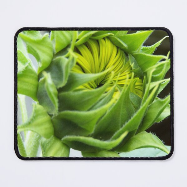 Item preview, Sunflower Bud Almost open :) designed and sold by DianeBP.