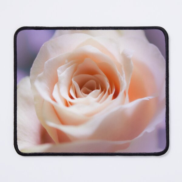 Item preview, A Small And Beautiful Light Beige Rose designed and sold by JonnaHurmerinta.