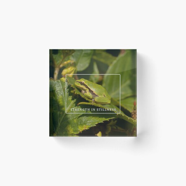 Item preview, Peaceful Frog Meditation - Strength in Stillness designed and sold by NineRudolph.