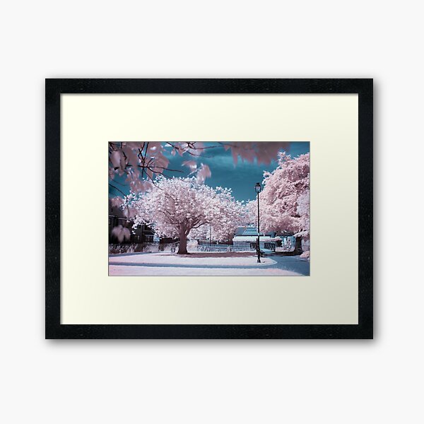 Narnia Summer Framed Art Print