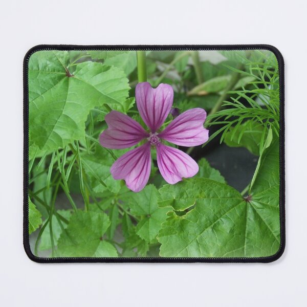 Item preview, Mallow 2 tone pink Flower designed and sold by DianeBP.