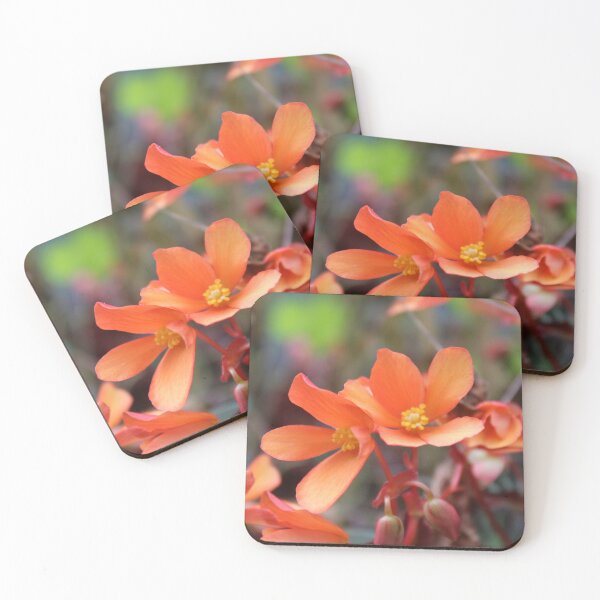 Item preview, Orange flower designed and sold by ScarlettC15.