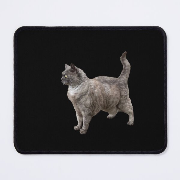 Item preview, Selkirk Rex Cat  designed and sold by ChiefOP.