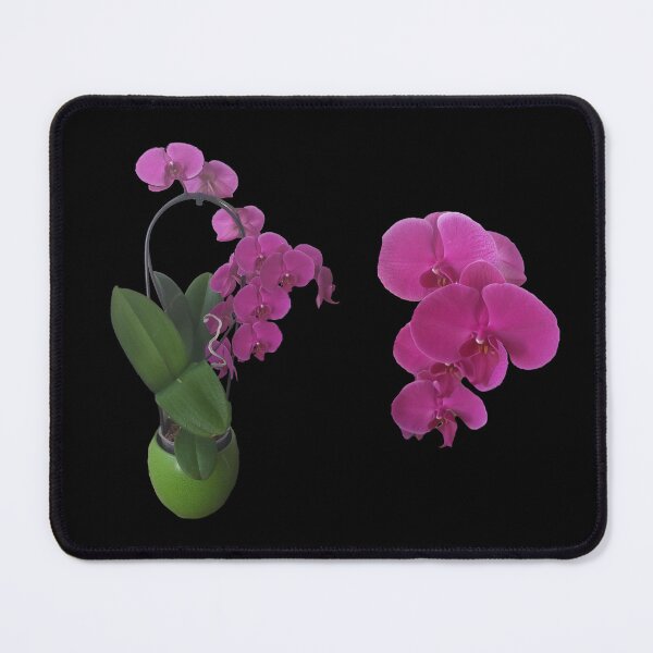 Item preview, Elegant Orchid | Orchidea Elegante | Orchidée Élégante designed and sold by LenaBlueDesigns.